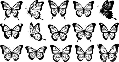 Monochrome Butterfly Species Collection
