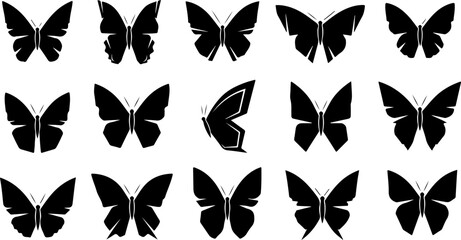 Monochrome Butterfly Species Collection