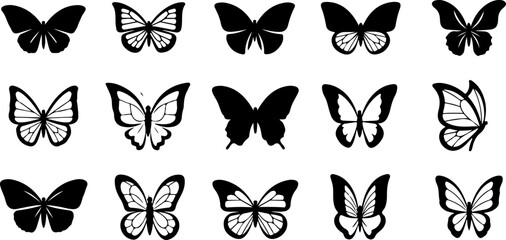 Monochrome Butterfly Species Collection