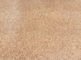 Beige Carpet Texture, Soothing Beige Surface Enhances Flooring And Home Decoration Visuals, Closeup...