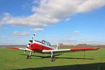 Light airplane standing on a grass runway