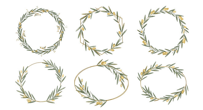 Set of six elegant olive branch wreaths and frames with gold accents and green leaves for premium logo branding.