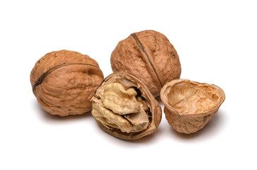 Many walnuts or Juglans regia with opened shell and kernel isolated on white background