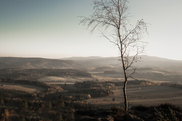 Sunny landscape of the Table Mountains with a view of vast meadows, forests and distant mountain ranges. Calm nature, clear sky and open space invite reflection, mindfulness and deep relaxation.