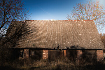 Old abandoned rural buildings. Decaying wooden door set in a cracked brick wall overgrown with plants. A symbol of passing time, neglect and forgotten places