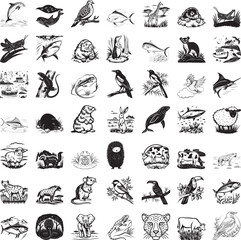 49 Set Black and white of diverse animals and nature scenes dolphin jumping ocean wave whale swimming fish school
