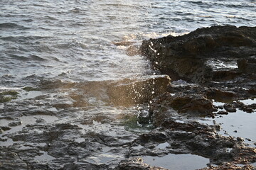 Sea geyser erupting from rocks under wave pressure

