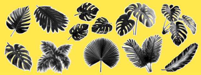 A set of vector halftone illustrations featuring tropical leaves and palm branches. Black and white graphic images, grouped and individually, are isolated on a yellow background.