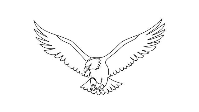 A soaring eagle in flight with wings spread wide