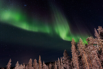 Fototapeta premium Polarlichter in Finnland