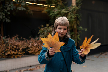 Teenage girl at walk in autumn city collecting platan golden leaves