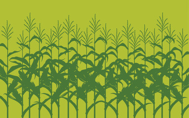 corn field illustration on green background © Alexkava