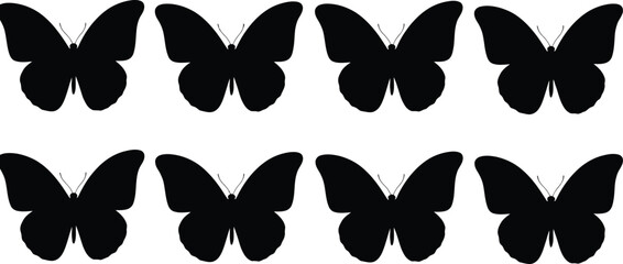 Eight black butterfly silhouettes on white background