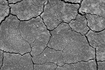 crack, texture, dry, crackle, grunge, brown, wall, background, pattern, ground, break, paint, earth, peeling, destroyed, concrete, desert, scratch, soil, drought, clay, dryness, abstract, mud, arid, b