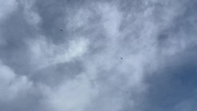 Dramatic overcast sky with pair of birds