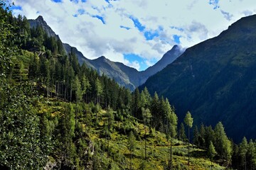 Austrian Alps - view on the path from lake Riesachsee
