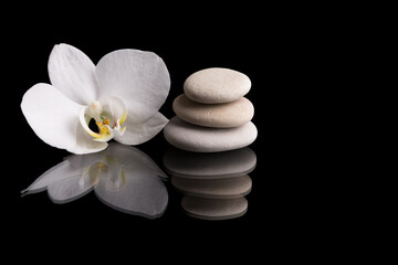 A serene composition featuring a white orchid blossom paired with balanced stack of zen stones, all set against reflective black background to highlight the contrast and enhance sense of tranquility. © ArtushFoto