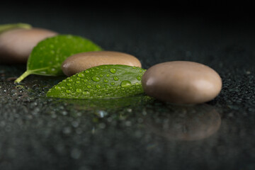 Close-up shot featuring zen stones and green leaves adorned with water droplets, arranged on a sleek, dark, reflective surface. Soft lighting enhances the scene.