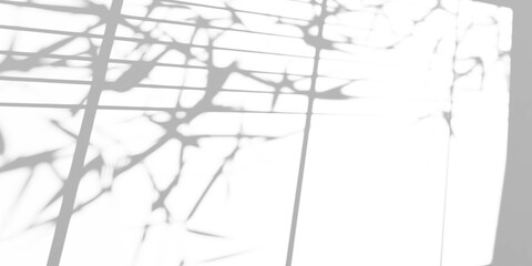 Obraz premium Natural Bamboo Leaves and Window Shadow Overlay Effect on White Wall, Abstract Summer Sunlight Shadows on Transparent Background