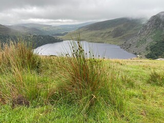 Paysage sauvage du plateau de Calary dans les montagnes du Wicklow, Irlande