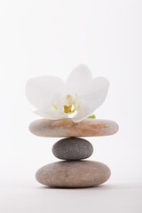 A white orchid flower elegantly balances atop a stack of carefully arranged stones promoting tranquility and peace. The stones' varying textures create a visually appealing contrast.