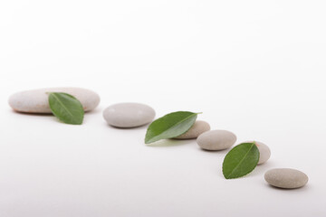 This is a studio shot of smooth rocks arranged with a few fresh green leaves placed upon them over a white background. Great for concepts involving nature, wellness and zen.