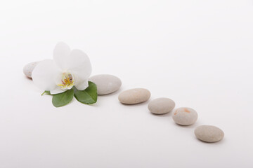 White orchid and smooth pebbles in a diagonal row. Composition expressing harmony, simplicity, and natural elegance, ideal for spa and relaxation themes.