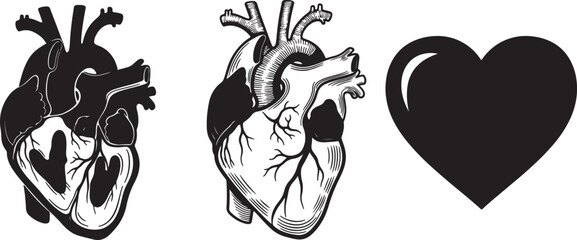 Anatomical heart in black and white showing detailed internal structures and a stylized heart shape representing life love and health concepts also transparent background