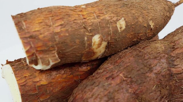 Freshly Harvested Cassava Root Rotating on White Background