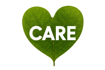 Care Word on Green Heart Leaf