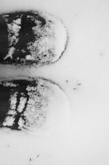 Wellington boots in the snow