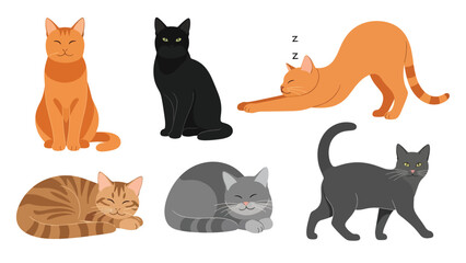 Modern vector illustration set of cats in various poses on white background, flat animal collection with solid colors, ideal for icons and pet designs