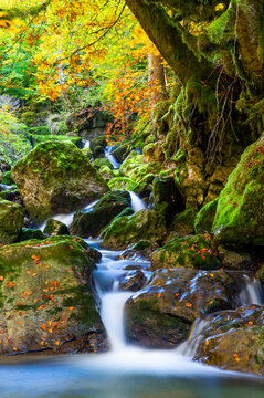 stream