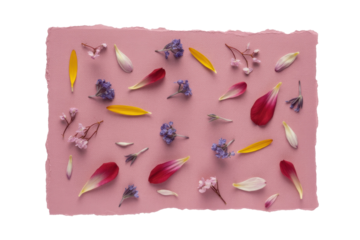 Floral pattern with flower petals