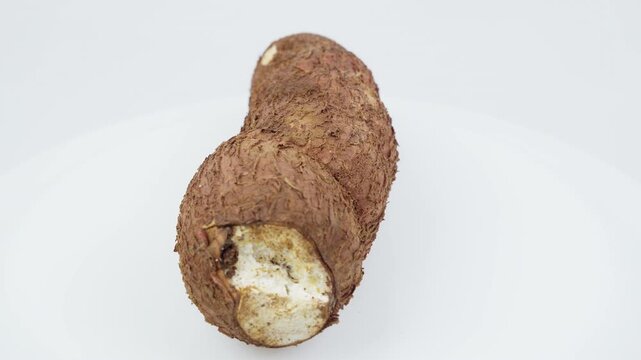 Freshly Harvested Cassava Root Rotating on White Background