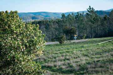 disc golf green on course in portugal
