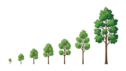 Obraz premium Trees Growing in Stages of Development.