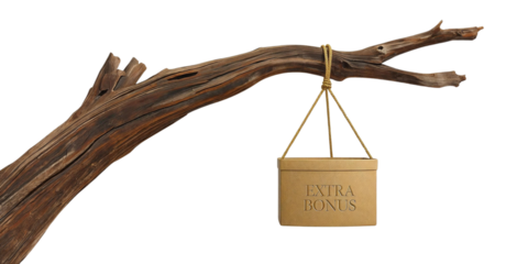 Organic Surprise: Craft Eco-Box with Extra Bonus