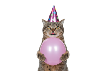 Party Cat with Balloon