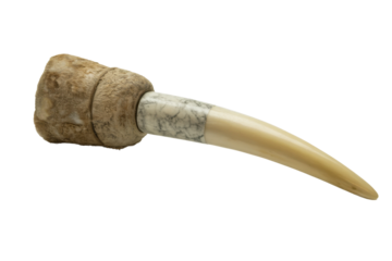 Scrimshaw Tool