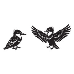 Obraz premium Black silhouette of two kingfisher birds one standing one with wings spread black and white graphic