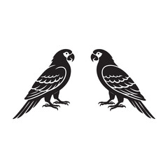 Obraz premium Two black parrots facing each other on white background bird black and white