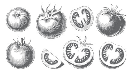 Hand drawn tomato varieties in retro botanical engraving composition.