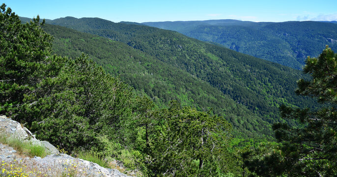 Kaz Mountains, located in Balikesir city of Turkey, is the most important mountain of the country with its rich vegetation and untouched nature.