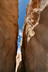 Narrow passage in White Canyon, Wadi Qunai, Sinai Peninsula, Egypt. Sunlit sandstone walls shaped by wind erosion in an arid desert landscape.
