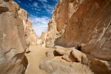 Narrow passage in White Canyon, Wadi Qunai, Sinai Peninsula, Egypt. Sunlit sandstone walls shaped by wind erosion in an arid desert landscape.