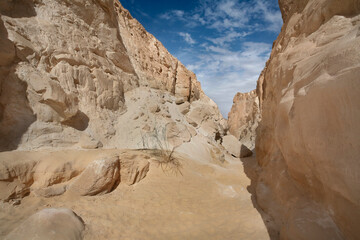 Narrow passage in White Canyon, Wadi Qunai, Sinai Peninsula, Egypt. Sunlit sandstone walls shaped by wind erosion in an arid desert landscape.