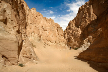Narrow passage in White Canyon, Wadi Qunai, Sinai Peninsula, Egypt. Sunlit sandstone walls shaped by wind erosion in an arid desert landscape.