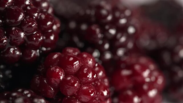 Fresh blackberries. Extreme macro close-up of ripe juicy blackberries with natural shine and shallow depth of field. Premium berry texture background for healthy food, dessert, smoothie.