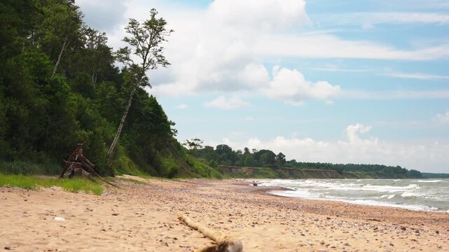 Sandy shoreline with lush green forest under bright blue sky, gentle waves rolling onto pebbled sand, weathered driftwood